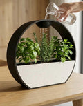 Pot de plante auto-arrosant avec irrigation goutte-à-goutte intégrée – Jardinière design moderne minimalist.